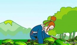 吃瓜生活故事在线听免费,跟随吃瓜生活故事，免费在线聆听精彩瞬间