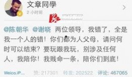 最新爆料文章怎么写,深度解析事件背后真相